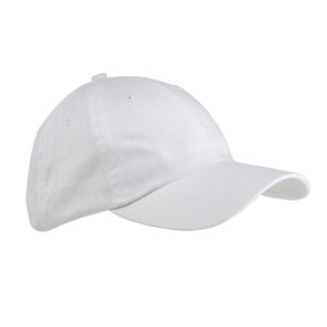 Big Accessories Brushed Twill Cap